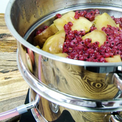 Соковарка-пароварка на 5 л Browin Серебристый (800505) Новониколаевка