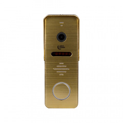 Відеопанель Light Vision RIO FHD Gold золотий (82-00214) Слов'янськ