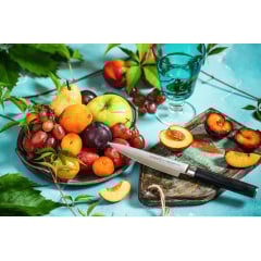 Ніж кухонний універсальний 125 мм Samura MO-V (SM-0021) Київ