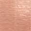 Плитка CERAMICA DESEO STICKS CORAL 8х200х200 мм Бородянка