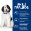 Сухой корм для собак Hill's Prescription Diet Canine C/D Multicare Urinary Care 12 кг (605887) Вараш