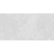 Плитка Asia Pacific Armani Silver Polished 60х120 см