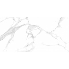 Плитка Asia Pacific Statuario Dallas Silver Polished 60х120 см Генічеськ
