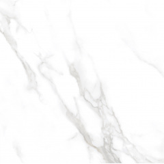 Плитка Asia Pacific Statuario Dallas Silver Polished 60х60 см Куйбишеве