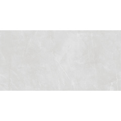 Плитка Asia Pacific Armani Silver Polished 60х120 см Куйбишеве