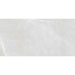 Плитка Asia Pacific Armani Silver Polished 60х120 см Куйбишеве