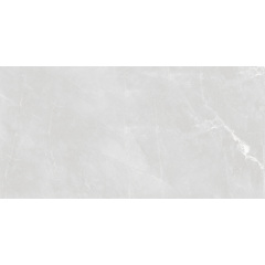 Плитка Asia Pacific Armani Silver Polished 60х120 см Куйбишеве