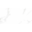 Плитка Asia Pacific Statuario Eva Polished 60х120 см Долина