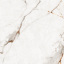Плитка Asia Pacific Statuario Bottega Gold Polished 60х60 см Михайловка