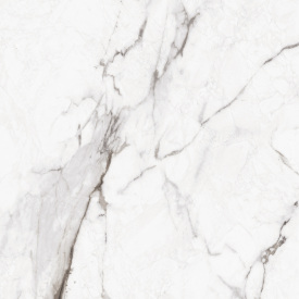 Плитка Asia Pacific Statuario Bottega Silver Polished 60х60 см