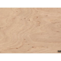 Фанера ФК 1525x1525x10 мм 2/2 (BB/BB) ЕКО ЛІС (власне виробництво) Ивано-Франковск