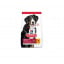 Сухой корм для собак Hill's Science Plan Adult Large Breed Lamb & Rice 14 кг (604373) Золотоноша