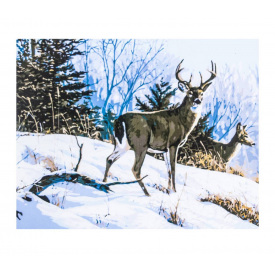 Картина по номерам ArtStory Олень 40х50 см Разноцветный (JY103)