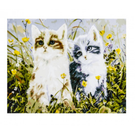 Картина по номерам ArtStory Котики 40х50 см Разноцветный (6835)