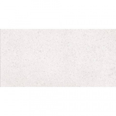 Плитка Lasselsberger Rako PORFIDO DASV1810 white 10×1198×598 мм Киев