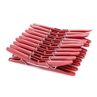 Набір прищіпок A-PLUS 20 шт 76161 червоний