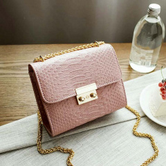 Сумка Berkani T-SB00256 Welli Gee Pink Кропивницкий
