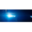Ксеноновая лампа Philips 85126WHV2S1 D2R 85V 35W P32d-3 WhiteVision gen2 5000K Иршава