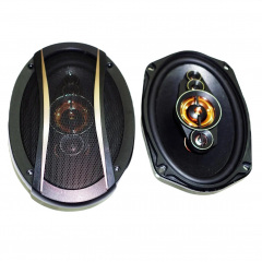 Автомобильные колонки RIAS TS-6996E овалы 6x9 двухполосные 900W (3_03597) Мукачево
