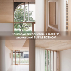 Фанера березовая шпонированная Белым Ясенем 16 мм - 2,5х1,25 м Свесса