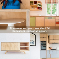 Фанера березовая водостойкая ФСФ — 21 мм 2,500х1,250 м Дубно