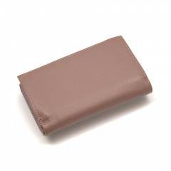 Кошелек женский кожа Berkani Brigidano Powdery KR116033 Київ
