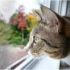 Сетка-антикошка для безопасности домашнего питомца Сумы