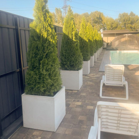 Вазон бетонный Верона M 60x60x60 см, уличный садовый Футеровка крошкой