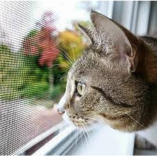 Сітка-антикошка для безпеки домашнього улюбленця