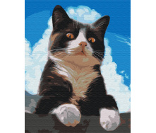 Картина за номерами BrushMe 