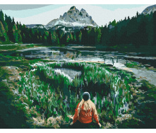 Картина за номерами BrushMe 