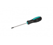 Викрутка TORX TT25*100 MASTERTOOL GM (49-0251)