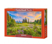 Пазли Castorland Ранкові квіти 2000 елементів 92х68 см Різнокольоровий C-200863