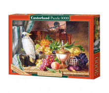 Пазли Castorland 