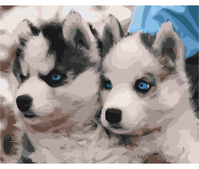 Картина за номерами BrushMe 