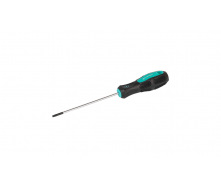 Викрутка TORX TT10*100 MASTERTOOL GM (49-0101)