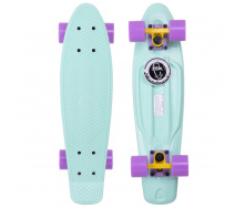 Скейтборд SP-Sport Penny Original FISH SK-401-10 22 М'ятний-Жовтий-фіолетовий
