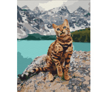 Картина за номерами BrushMe 