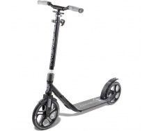 Самокат Frenzy 250 mm Recreational Black (1012-FR250-BK)