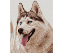 Картина за номерами BrushMe 