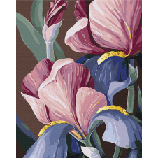 Картина за номерами BrushMe "Півники © Yana Biluhina" 40х50см BS53760