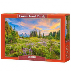 Пазли Castorland Ранкові квіти 2000 елементів 92х68 см Різнокольоровий C-200863