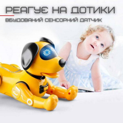 Іграшка робот собака KOOQI на Радіокеруванні Трюкова з Голосовим Супроводом (537) Городок