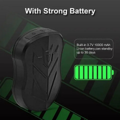 GPS-трекер SinoTrack ST915L 2G (2304083098) Володарськ-Волинський