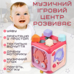 Дитячий Музичний Бізікуб Сортер з Піаніно Для Самих Маленьких Aiyingle Рожевий (730) Краматорськ