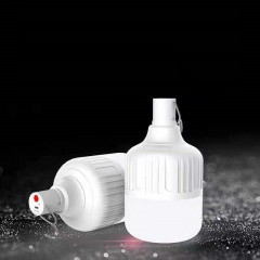 Лампочка акумуляторна ANbeauty 40W переносна для кемпінгу для читання туризму (AN0103115) Кропива