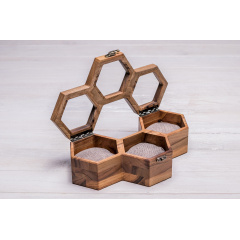 Шкатулка для зберігання наручних годинників ecoWalnut 7.8х27.1х14.1 см Львів