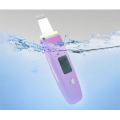 Скрабер ультразвуковий Inspire Ultrasonic PL-C01 Purple Киев