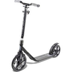 Самокат Frenzy 250 mm Recreational Black (1012-FR250-BK) Шепетовка