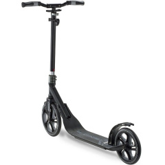 Самокат Frenzy 250 mm Recreational Black (1012-FR250-BK) Шепетовка